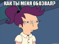 Как ты меня обозвал? 