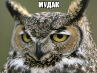 Мудак 