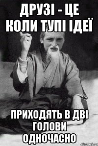 ДРУЗІ - ЦЕ КОЛИ ТУПІ ІДЕЇ ПРИХОДЯТЬ В ДВІ ГОЛОВИ ОДНОЧАСНО