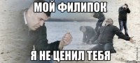 мой филипок я не ценил тебя