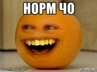 НОРМ ЧО 