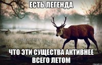 Есть легенда Что эти существа активнее всего летом