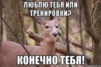 Люблю тебя или тренировки? конечно тебя!