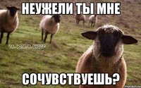 неужели ты мне сочувствуешь?