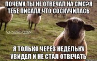 Почему ты не отвечал на смс?Я тебе писала,что соскучилась я только через недельку увидел и не стал отвечать