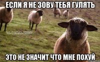 если я не зову тебя гулять это не значит что мне похуй