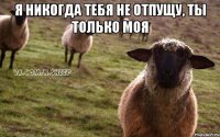 я никогда тебя не отпущу, ты только моя 