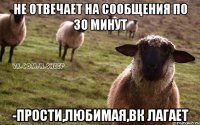 Не отвечает на сообщения по 30 минут -Прости,любимая,вк лагает