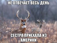 Не отвечает весь день сестра приехала из америки