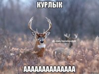 Курлык аааааааааааааа