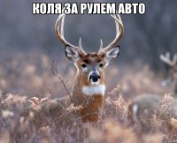 Коля за рулем авто 