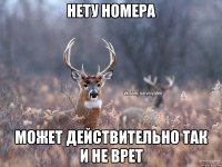 нету номера может действительно так и не врет