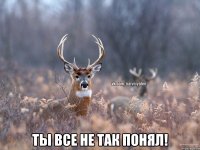  Ты все не так понял!