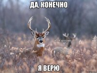 да, конечно я верю