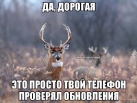 ДА, ДОРОГАЯ ЭТО ПРОСТО ТВОЙ ТЕЛЕФОН ПРОВЕРЯЛ ОБНОВЛЕНИЯ