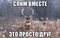 Спим вместе Это просто друг