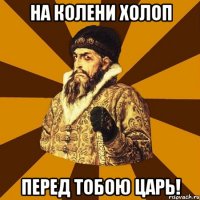 на колени холоп перед тобою царь!