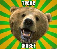 транс живет