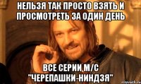 Нельзя так просто взять и просмотреть за один день все серии м/с "Черепашки-ниндзя"