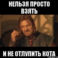 нельзя просто взять и не отлупить кота