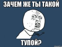 Зачем же ты такой тупой?