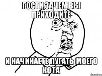 гости,зачем вы приходите и начинаете пугать моего кота