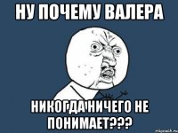 Ну почему Валера Никогда ничего не понимает???