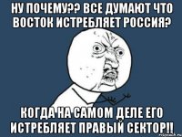 Ну почему?? все думают что Восток истребляет Россия? когда на самом деле его истребляет Правый сектор!!