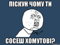 ПІСКУН ЧОМУ ТИ СОСЕШ ХОМУТОВІ?