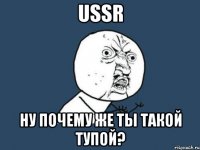 USSR Ну почему же ты такой тупой?