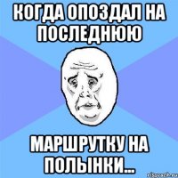 когда опоздал на последнюю маршрутку на полынки...