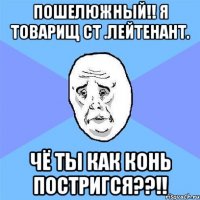 Пошелюжный!! я товарищ ст .лейтенант. Чё ты как конь постригся??!!