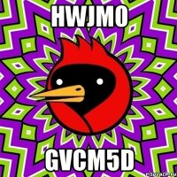 hWJM0 gvCM5d