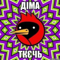 Діма Ткєчь