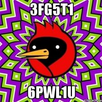 3Fg5T1 6pWl1U