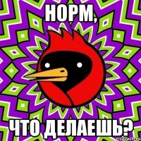 Норм, что делаешь?