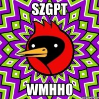 sZgpt WmHH0