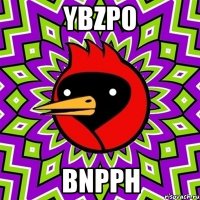 ybZpO BnPPh