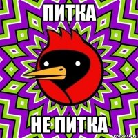 ПИТКА НЕ ПИТКА