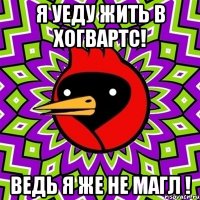 я Уеду жить в хогвартс! Ведь я же не магл !