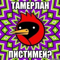 Тамерлан Пистимей?