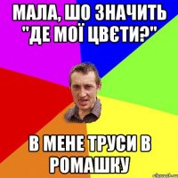 мала, шо значить "де мої цвєти?" в мене труси в ромашку