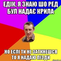 Едік, я знаю шо Ред бул надає крила но еслі ти не заткнешся то я надаю пізди