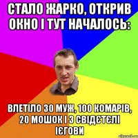 стало жарко, открив окно і тут началось: влетіло 30 муж, 100 комарів, 20 мошок і 3 свідєтєлі ієгови