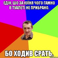 Едік, шо за хуїня чого гамно в туалеті не прибрано. Бо ходив срать.