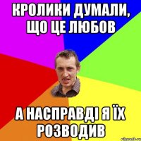 Кролики думали, що це любов а насправді я їх розводив