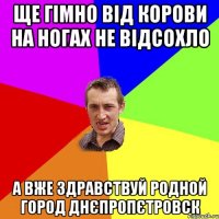 ще гімно від корови на ногах не відсохло а вже здравствуй родной город Днєпропєтровск