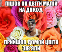 Пішов по цвіти Малій на днюху, Прийшов домой цвіти зів'яли