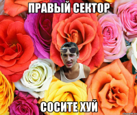 Правый сектор сосите ХУЙ