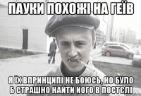 пауки похожі на геїв я їх впринципі не боюсь, но було б страшно найти його в постєлі